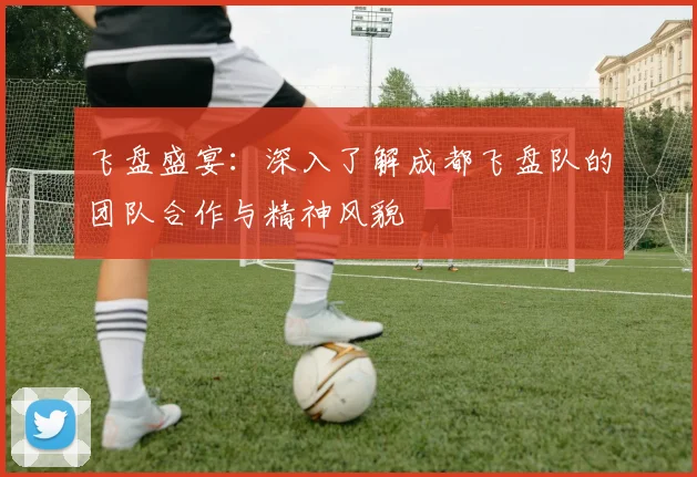 飞盘盛宴：深入了解成都飞盘队的团队合作与精神风貌