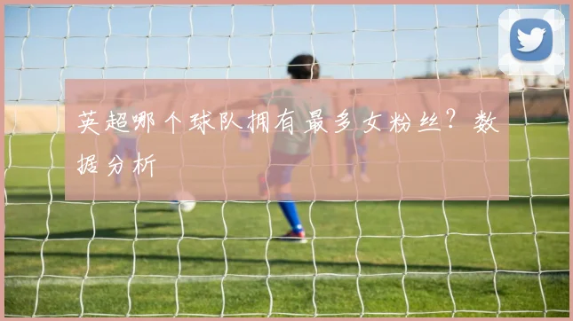 英超哪个球队拥有最多女粉丝？数据分析