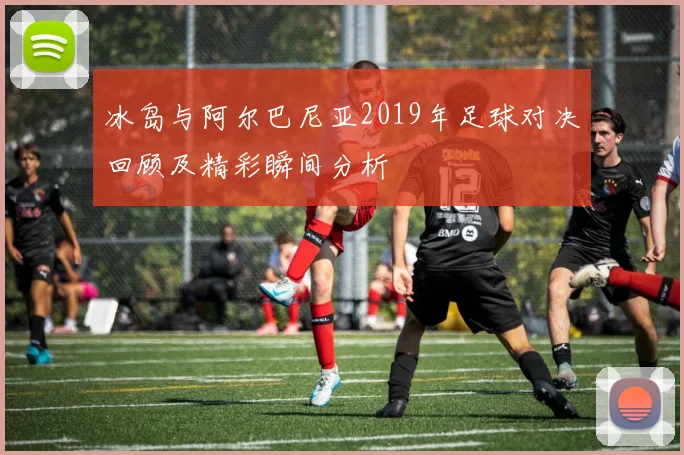 冰岛与阿尔巴尼亚2019年足球对决回顾及精彩瞬间分析